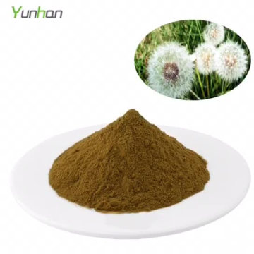 Wholesale Natural Dandelion Root Extract Powder